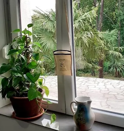 Valbona 1 Appartement *