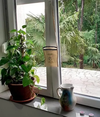 Valbona 1 アパート *